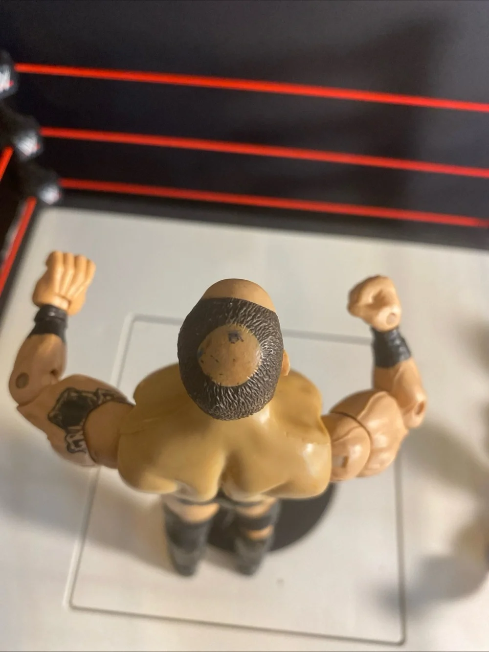 WWE product festus